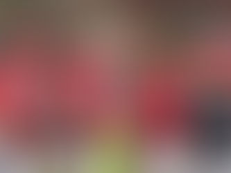 Criollos win for first time, Santurce suffers first loss in LBPRC