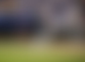 ‘Sugar’ Díaz & Heliot Ramos will play for PR in World Baseball Classic