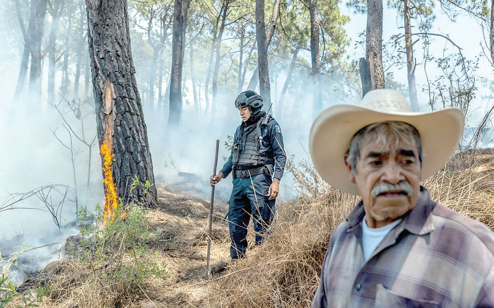 After six decades of the war on drugs, what works?