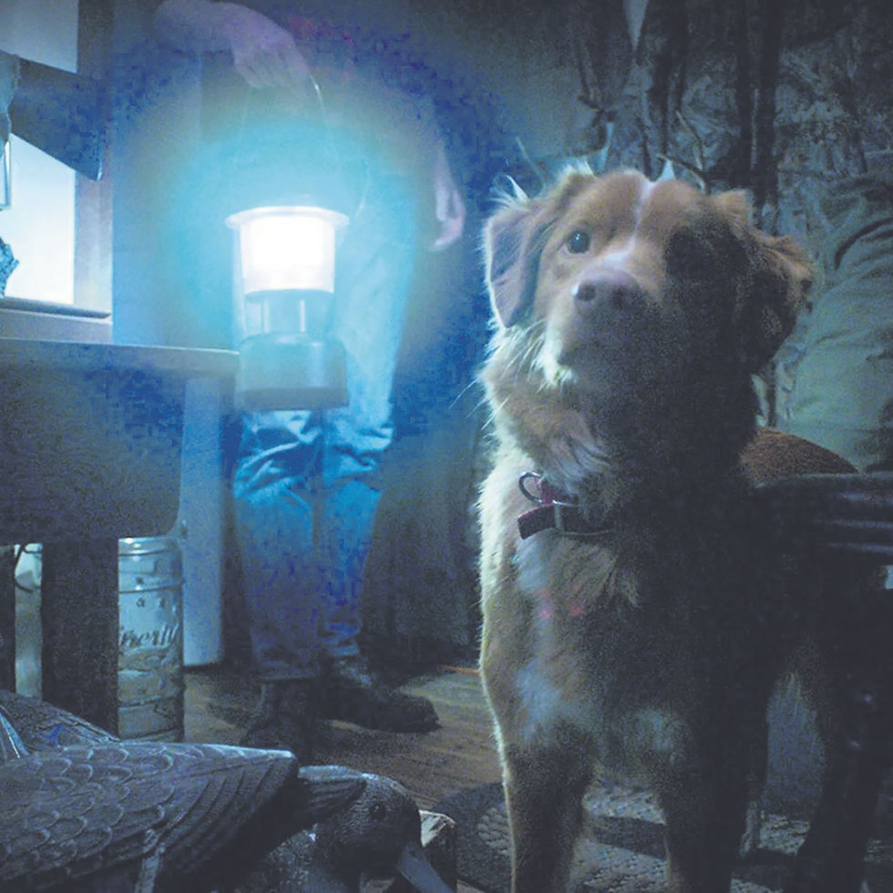 ‘Benedetta,’ ‘Good Boy’ and more streaming gems
