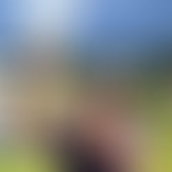 Ricky Castillo wins PR Open by a stroke.