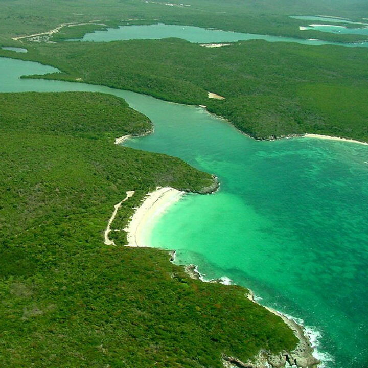 DNER investigates possible reduction in bioluminescence in Vieques bay