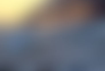 What we know about the UPS plane crash in Louisville