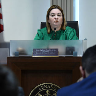 Ex-senator presses DNER for action on abandoned Mayagüez Zoo