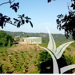 Energy Bureau certifies Agroenergética for agrivoltaics project in Moca
