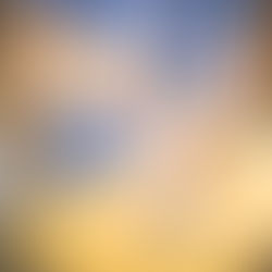 House majority faulted for blocking debate on governor election reform.