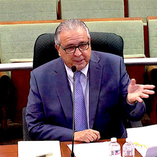 Carlo identifies lobbying figures linked to temporary generation bidders