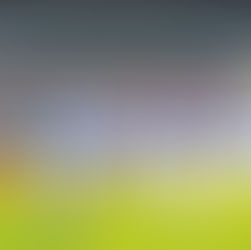 Puerto Rico culminó su participación en el Clásico Mundial de Béisbol 2026.