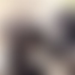 Baboon sibling rivalry suggests monkeys feel jealousy like people