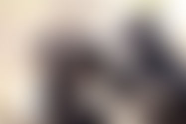 Baboon sibling rivalry suggests monkeys feel jealousy like people