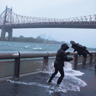 Fearing climate change chaos, some seek answers in a virtual classroom.