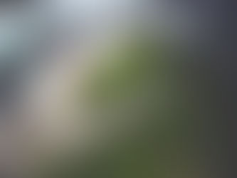 Frustran escalamiento en escuela de Las Piedras