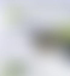 Regulator approves power rate reduction effective in January