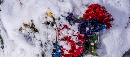 Trump’s fantasies are killing us