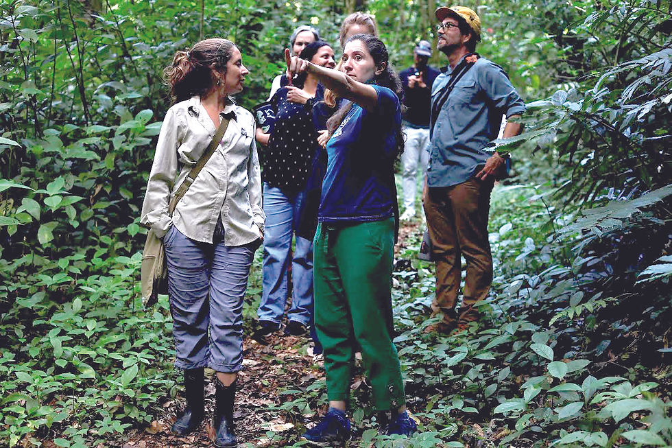 International scientists promote protection of nature’s rights in Puerto Rico & the Caribbean