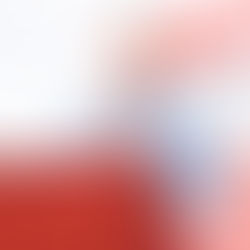 Listo Yabucoa para participar en el Desfile y Festival Puertorriqueño en Florida que le será dedicado.