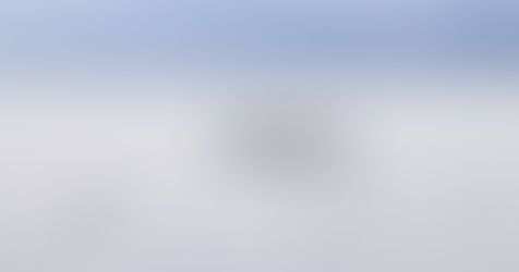 Killer whales find an ‘unlikely friend’ in dolphins