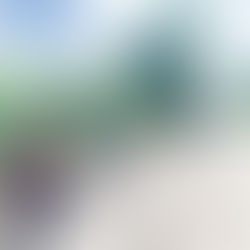 Alcaldesa de Naguabo verifica trabajos en la carretera estatal PR-970 en el barrio Duque.