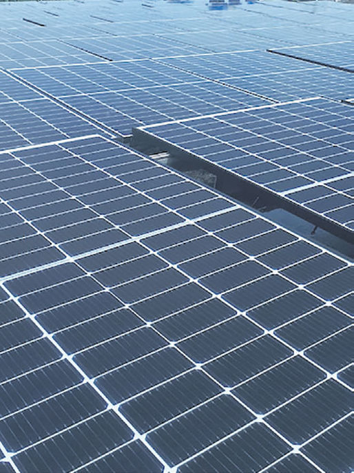 Monllor Capital invests in solar module producer Solx