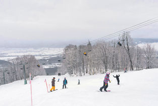 A powder quest in Japan’s ski country.