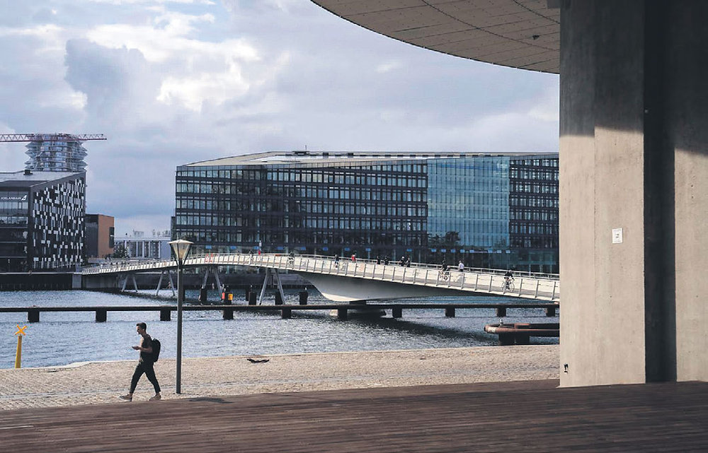 Experts question Denmark’s vaccine program as a model for the US