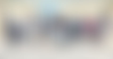 Discuten opciones para atender problemática de perros y gatos realengos en Humacao