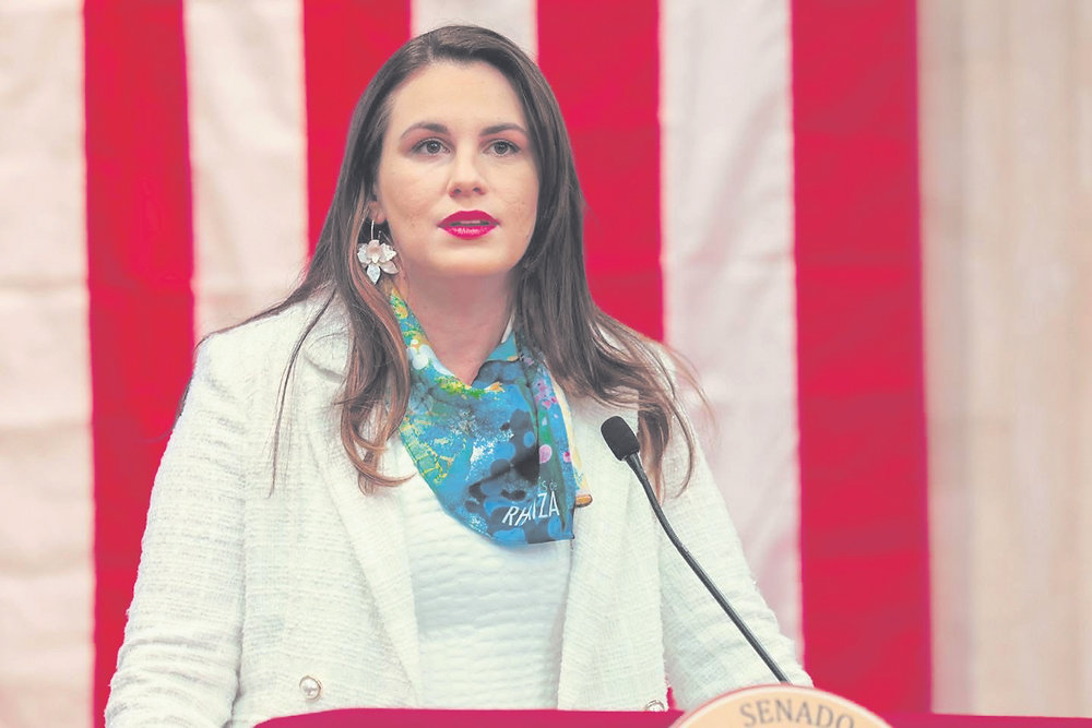 Senator condemns rejection of $1M proposal for women’s shelters.