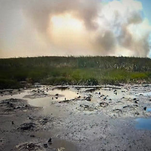 DRNA informa sobre incendio forestal en Refugio Vida Silvestre de Cabo Rojo