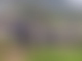 Escuela en Cayey con 200 estudiantes tiene un solo acceso a la PR14, representante Hau llamado al DTOP