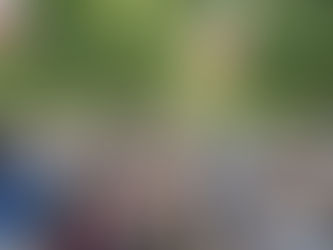 Our vanishing culture of argument