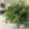 Faux Leaves