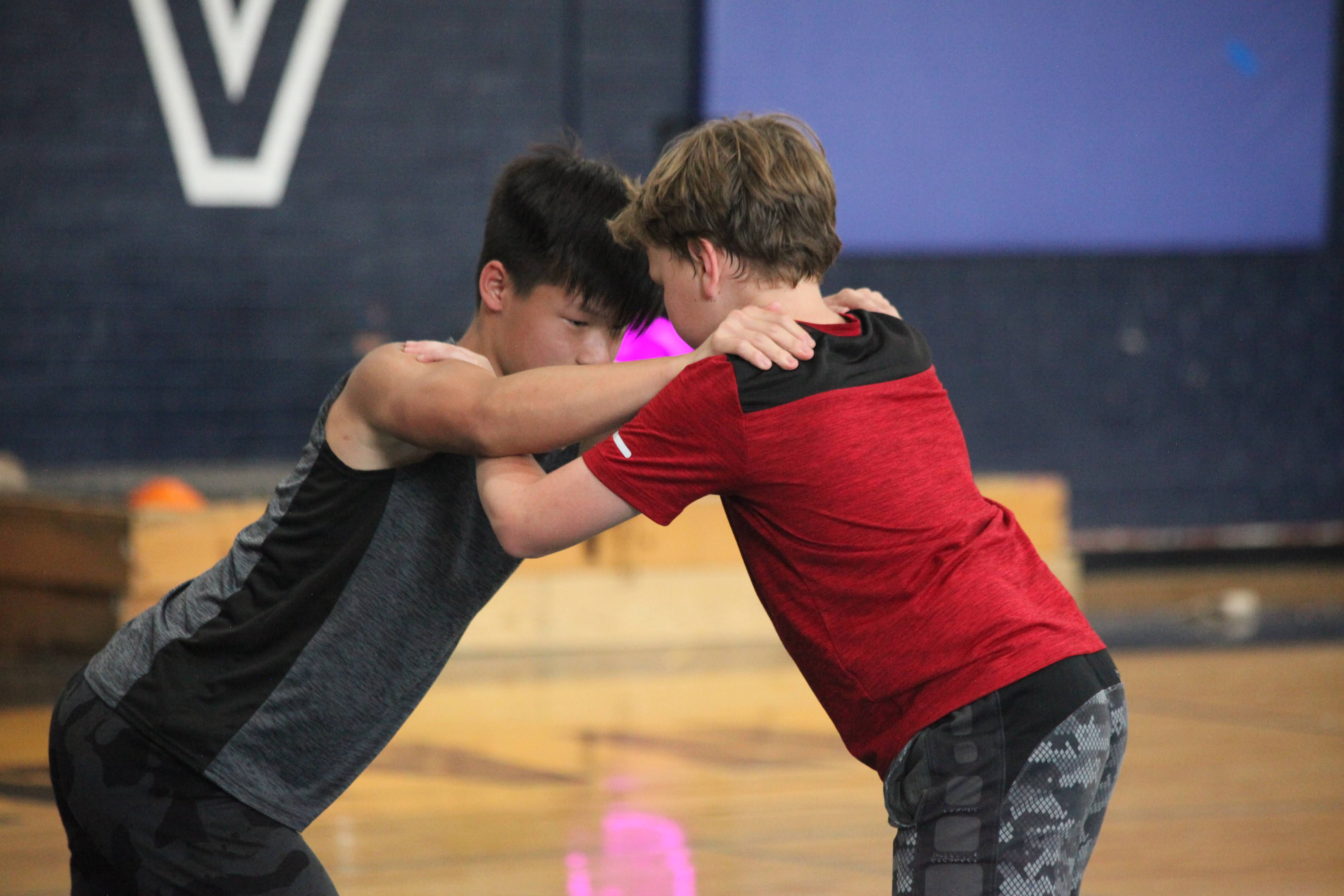 Wrestling Camp