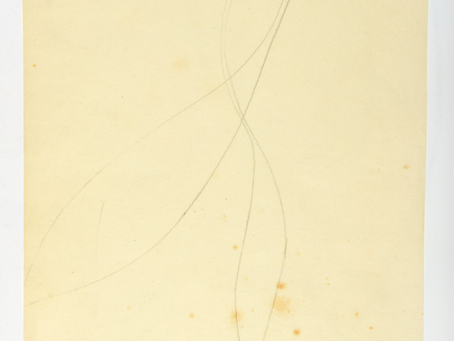 In lieber Erinnerung an Solveig Freericks Pichler