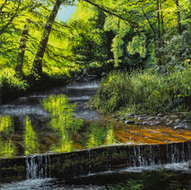 Wooden dam