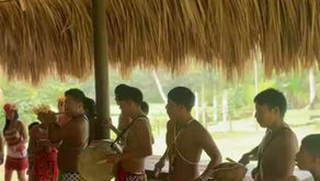 Zwischen Dschungel, Regenwald und Begegnungen – unser Landprojekt in Panama