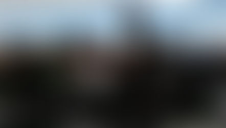 24 Stunden in der Wildnis