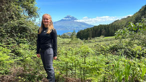 „Ich habe es überlebt. 24 Stunden im tiefen Wald Hortas, 24 Stunden alleine in der Wildnis!“