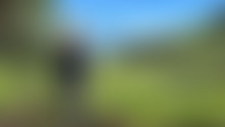 „Ich habe es überlebt. 24 Stunden im tiefen Wald Hortas, 24 Stunden alleine in der Wildnis!“