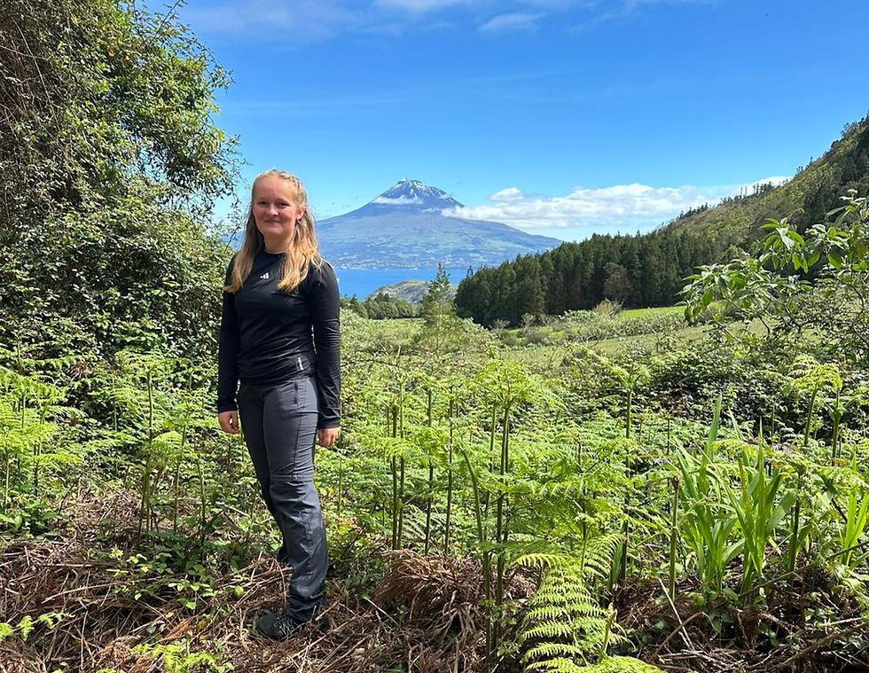 „Ich habe es überlebt. 24 Stunden im tiefen Wald Hortas, 24 Stunden alleine in der Wildnis!“