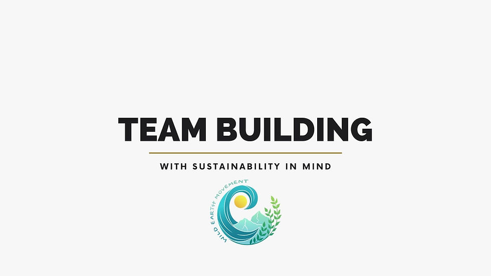 Corporate team building