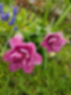 IMG-20231105-WA0012.jpg