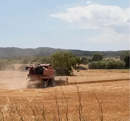 Expert Land Services with Integrity 3x.webp