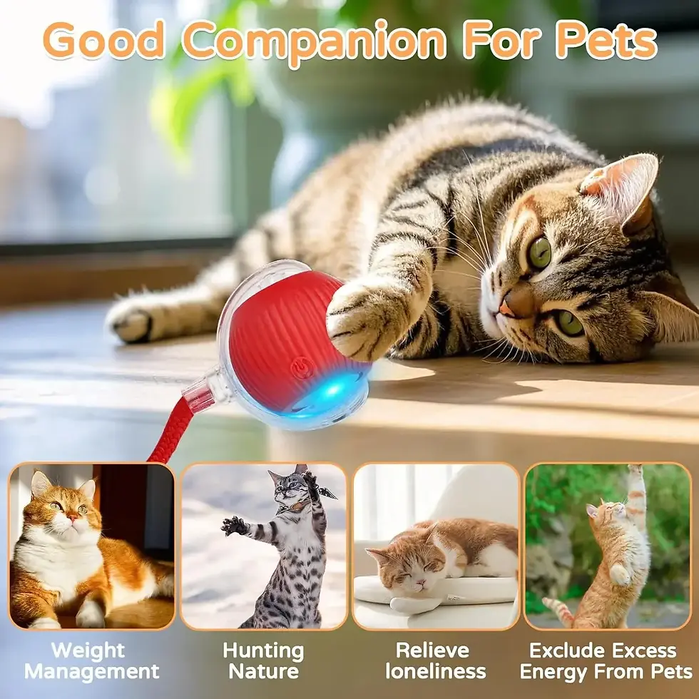 Thumbnail: Happi Trails™ SmartRoll Interactive Cat Ball