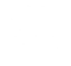 Birthright Human Identity-icon2.webp