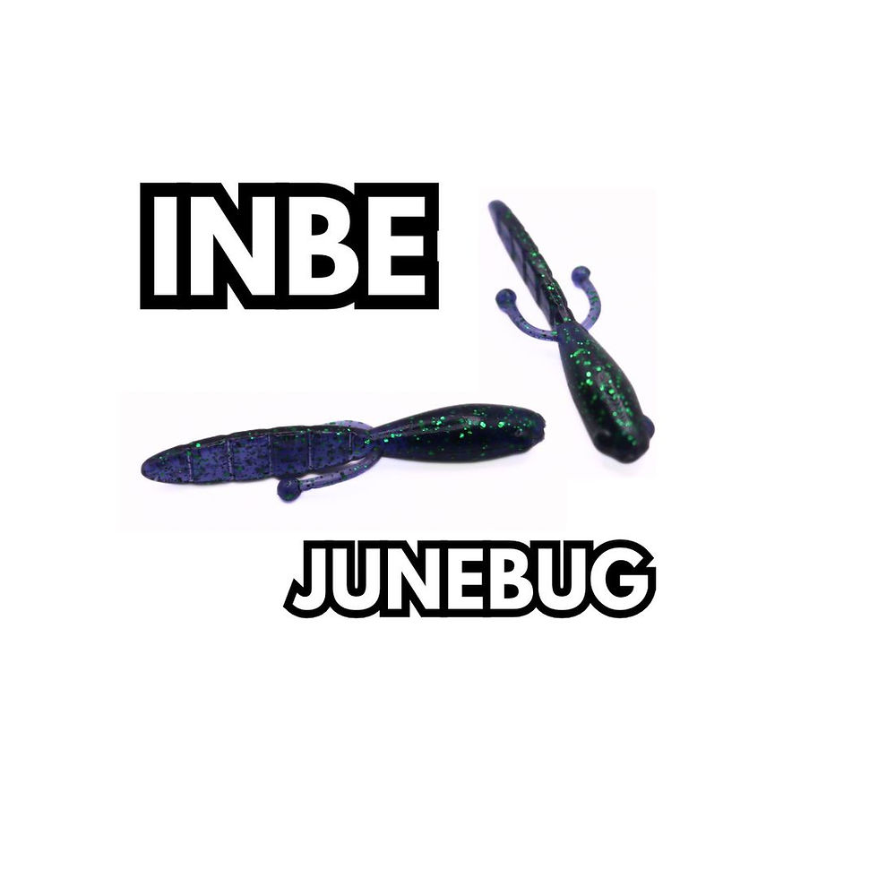 Miniatyrbilde: INBE - FFSLures