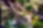 SA Express photo.webp