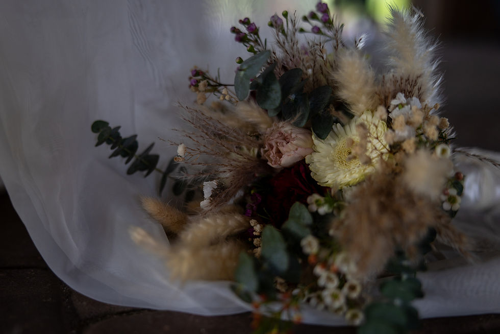 Laurin and Chance 250516-108.jpg