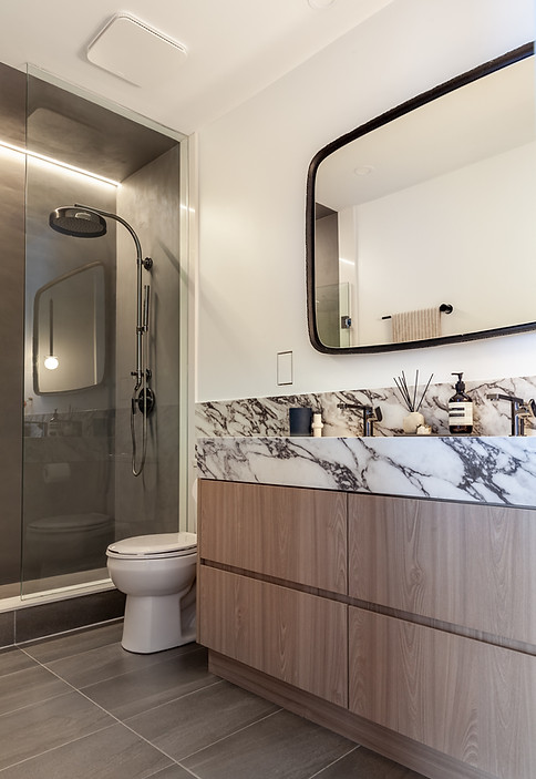 Project-Faye-Master-Bathroom-Renovation-3.jpg
