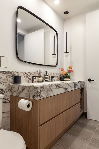 Project-Faye-Master-Bathroom-Renovation-4.jpg