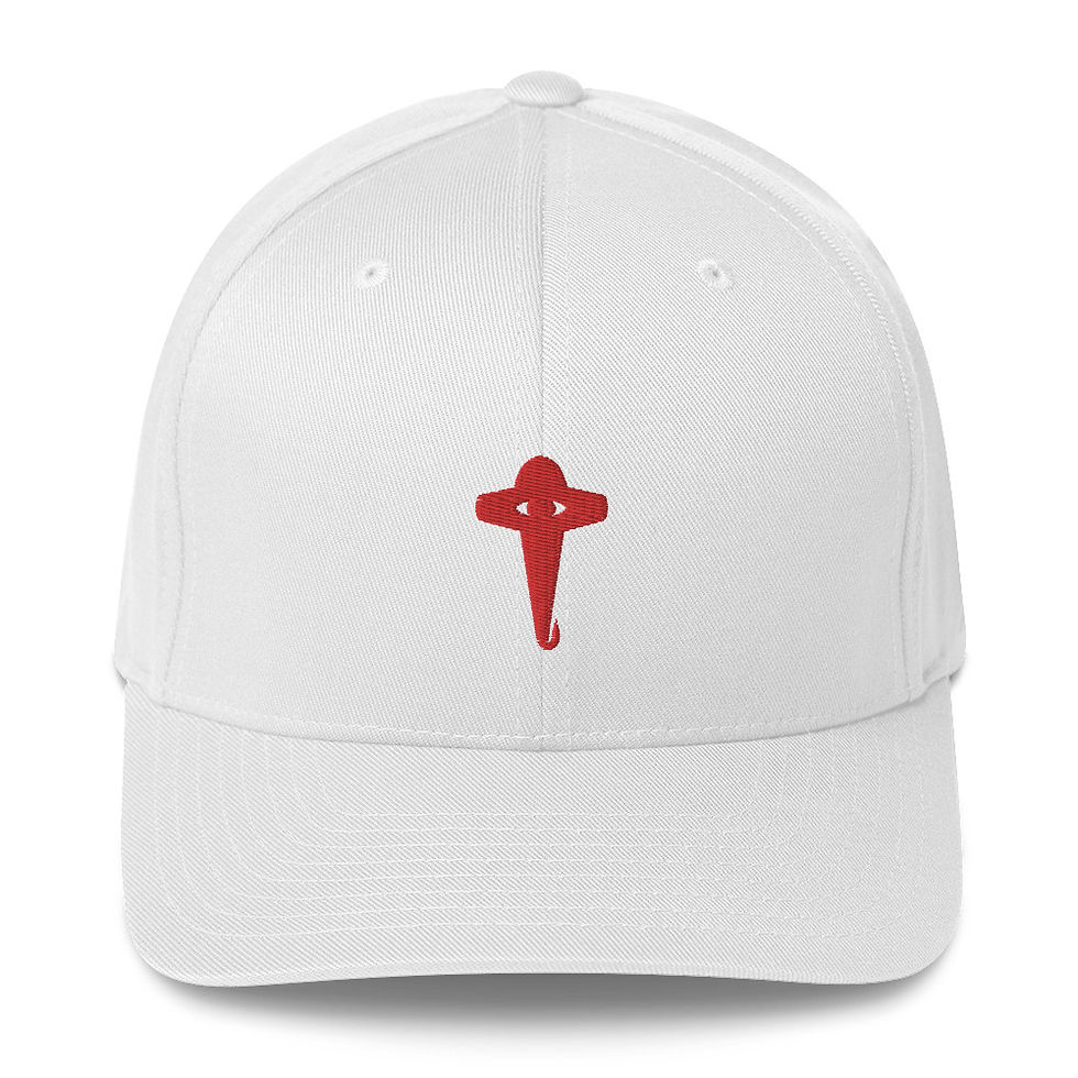 Eye Create Structured Fitted Cap  